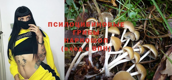 мдпв Краснотурьинск