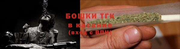мдпв Краснотурьинск