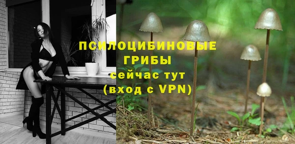 mdma Краснослободск